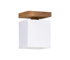 2284174 - Stropní svítidlo INGER 1xE27/25W/230V