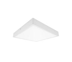 61003665 - LED Koupelnové stropní svítidlo EGON LED/30W/230V IP44 3000K