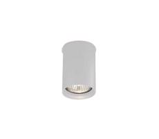 -  7008 - Bodové svítidlo ARIDA 1xGU10/15W/230V 9 cm bílá