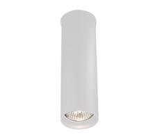 -  7009 - Bodové svítidlo ARIDA 1xGU10/15W/230V 20 cm bílá