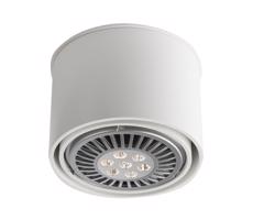 -  7016 - Bodové svítidlo MIKI 1xGU10/15W/230V bílá