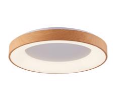 Azzardo Azzardo  -LED Stmívatelné stropní svítidlo SANTANA LED/50W/230V hnědá + DO