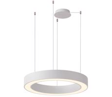 Azzardo Azzardo  - LED Stmívatelný lustr na lanku MARCO LED/50W/230V bílá + DO