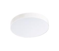 Azzardo Azzardo  - LED Stropní svítidlo MONZA 1xLED/50W/230V