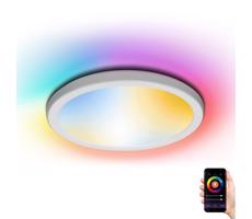 B.V.  - LED RGBW Stmívatelné stropní svítidlo LED/22W/230V 2700-6500K Wi-Fi