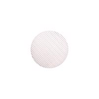Big white 1004790