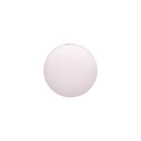 Big white 1004791