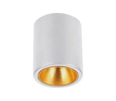 Bodové svítidlo 1xGU10/35W/230V kulatý bílá