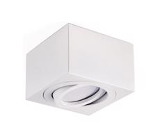 Bodové svítidlo OH37S 35W/230V 5 cm bílá