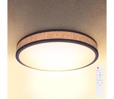 Brilagi Brilagi - LED Stmívatelné stropní svítidlo ROSA LED/48W/230V 3000-6500K + DO