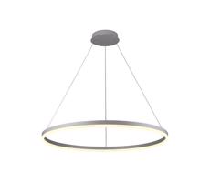 Brilagi Brilagi -LED Stmívatelný lustr na lanku CIRCLE LED/55W/230V 3000-6500K stříb.+DO