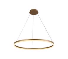 Brilagi Brilagi - LED Stmívatelný lustr na lanku CIRCLE LED/55W/230V 3000-6500K zlatá+DO