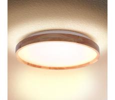 Brilagi Brilagi - LED Stropní svítidlo ALSON LED/24W/230V dub