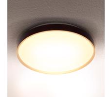 Brilagi Brilagi - LED Stropní svítidlo CALA LED/24W/230V