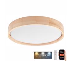 BRILAGI Brilagi - LED Stropní svítidlo MANAROLA SMART LED/24W/230V + DO Tuya