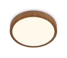 Brilo Brilo - LED Stropní svítidlo RUNA LED/12W/230V