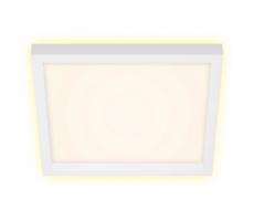 Briloner Briloner 7362-016 - LED Stropní svítidlo CADRE LED/18W/230V 29,6x29,6 cm bílá