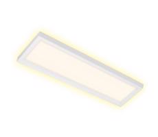 Briloner Briloner 7365-016 - LED Stropní svítidlo CADRE LED/22W/230V 58,2x20,2 cm bílá