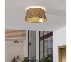 Eglo Eglo 390291 - Stropní svítidlo CASTUERA 1xE27/25W/230V zlatá/růžová
