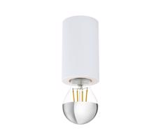 Eglo Eglo 99066 - Stropní svítidlo SALUZZO 1xE27/40W/230V