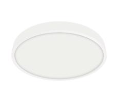 Emithor Emithor  - LED Koupelnové stropní svítidlo LENYS LED/24W/230V IP44