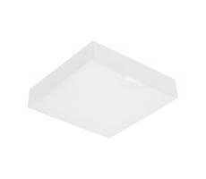 Emithor Emithor  - LED Stropní svítidlo SURFACE 1xLED/20W/230V