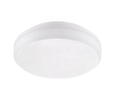 Emithor Emithor  - LED Technické stropní svítidlo SURFACE 1xLED/20W/230V IP65