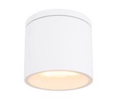 Globo Globo 32063W - Venkovní stropní svítidlo ALCALA 1xGX53/11W/230V IP44