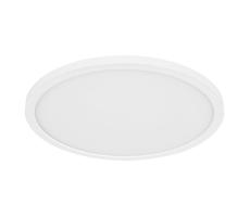 Globo Globo 41562-24W - LED Koupelnové stropní svítidlo SAPANA LED/24W/230V IP44