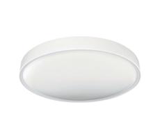 Greenlux LED Stropní svítidlo SAMER LED/24W/230V 4000K