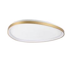 Ideal Lux Ideal Lux - LED Stm stropní svítidlo GEMINI LED/42W/230V pr. 81 cm CRI 90 zlatá