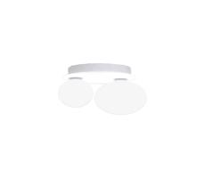 Ideal Lux Ideal Lux - LED Stropní svítidlo NINFEA 2xG9/3W/230V bílá