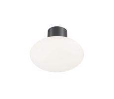 Ideal Lux Ideal Lux - Venkovní stropní svítidlo CLIO 1xE27/42W/230V IP44 antracit