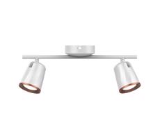 LED Bodové svítidlo 2xLED/5W/230V 3000K bílá