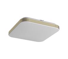 LED Koupelnové stropní svítidlo DABAR LED/11W/230V 4000K 26x26 cm IP44