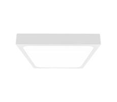 LED Koupelnové stropní svítidlo se senzorem LED/24W/230V 4000K IP44 bílá
