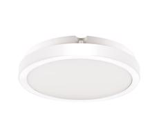 LED Koupelnové stropní svítidlo VERA LED/18W/230V 4000K IP65 bílá