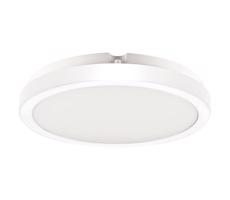 LED Koupelnové stropní svítidlo VERA LED/24W/230V 4000K IP65 bílá