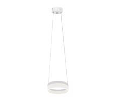 LED Lustr na lanku RING LED/12W/230V