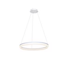 LED Lustr na lanku RING LED/36W/230V