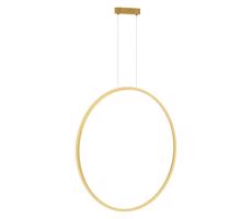 LED Lustr na lanku SATURNO LED/46W/230V pr. 80 cm IP44 zlatá