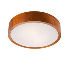 LED Stropní svítidlo 1xLED/24W/230V - FSC certifikováno