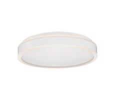 LED Stropní svítidlo LED/24W/230V 4000K bílá