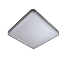 LED Stropní svítidlo WILTON LED/24W/230V šedá