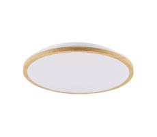 LED Stropní svítidlo WOODY LED/15W/230V pr. 28 cm