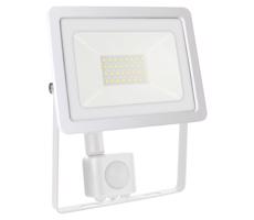LED Venkovní reflektor se senzorem NOCTIS LUX 2 LED/30W/230V 4000K IP44 bílá
