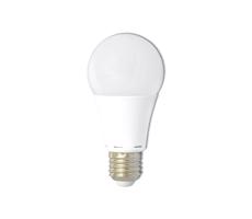 LED žárovka -E27- 10W denní bílá