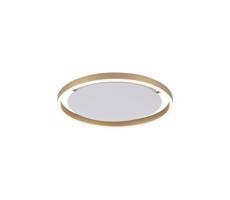 Leuchten Direkt Leuchten Direkt 15391-60 - LED Stmívatelné stropní svítidlo RITUS LED/20W/230V