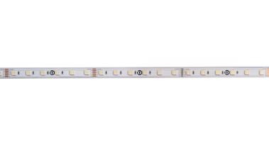 Light Impressions Deko-Light flexibilní LED pásek 5050-60-24V-RGB plus 3000K-5m-Silikon 24V DC 65,00 W 3000 K 2600 lm 5000 mm 840239