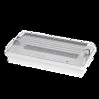 NBB 910121100